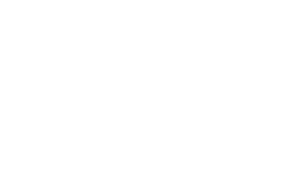 the CYBER INCIDENT